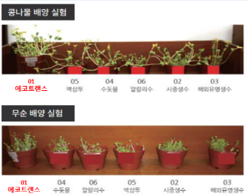 상명대 연구팀 식물발아실험.